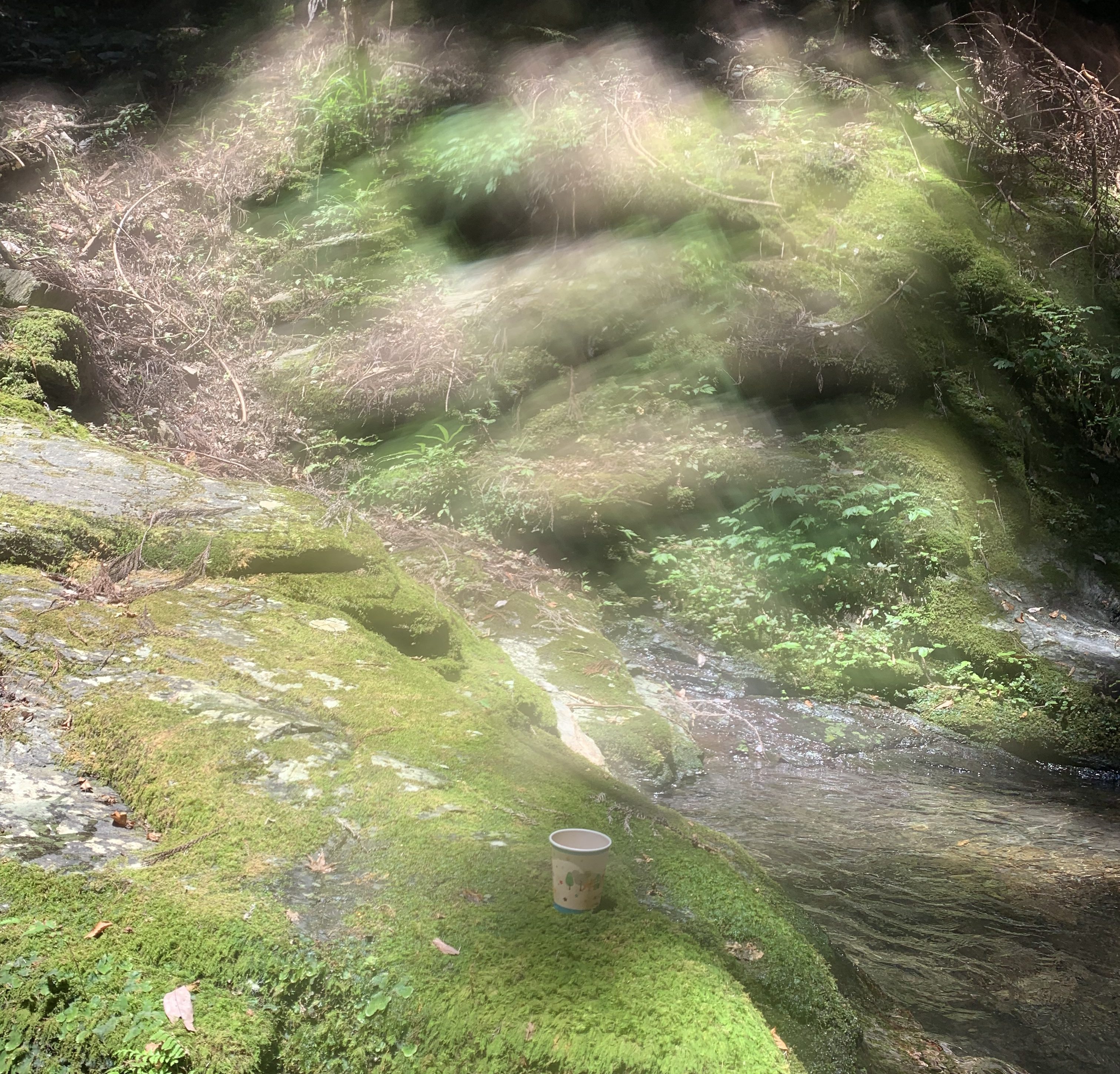 白兎と不思議な物語